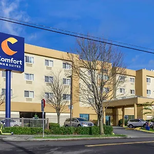 comfort-inn-suites-seattle.seattlehotelsites.com/